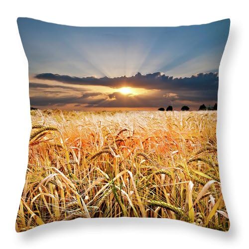Cutaway When Heaven Calls Your Name Throw Pillow Covers for Couch Bed Sofa Farmhouse Decoration 18 x 18 Inch/45 x 45 Cm